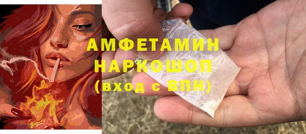 сатива Пересвет