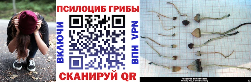 МЕГА ссылка  Каменногорск  Галлюциногенные грибы прущие грибы 